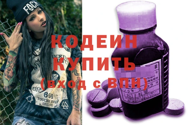 хмурый Арсеньев