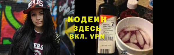 хмурый Арсеньев
