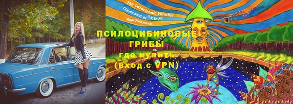 хмурый Арсеньев