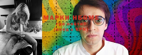 хмурый Арсеньев