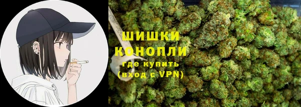 хмурый Арсеньев