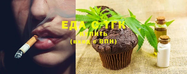 хмурый Арсеньев