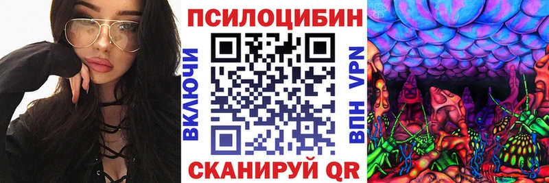 Псилоцибиновые грибы мицелий  Нижний Ломов 